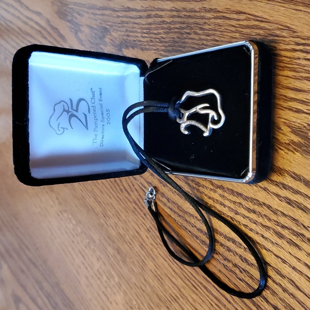 Pampered Chef logo necklace